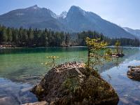 Junge Bäumchen auf Felsen im See mit Hochkalter Massiv
